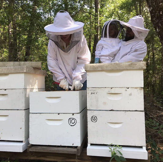 A Year of Beekeeping