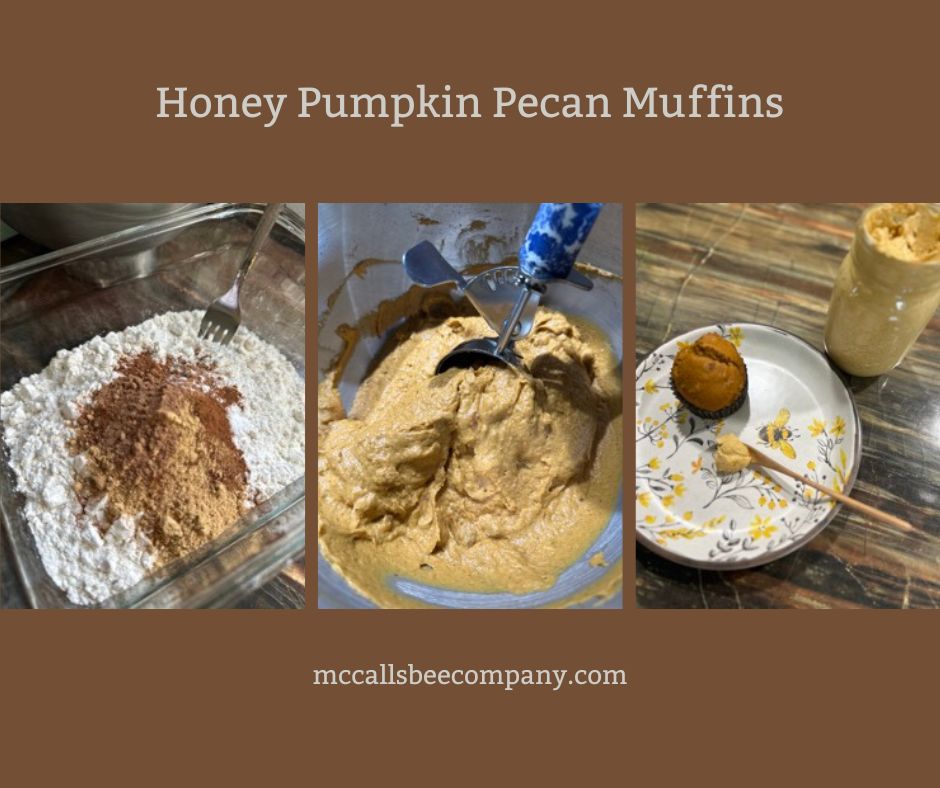 Honey Pumpkin Pecan Muffins