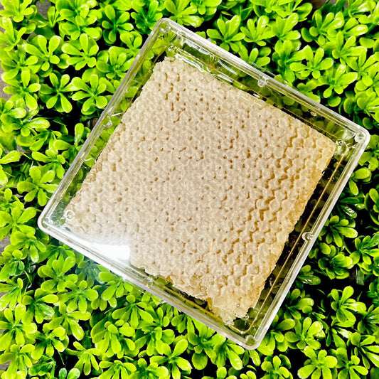 Tupelo Honey Comb