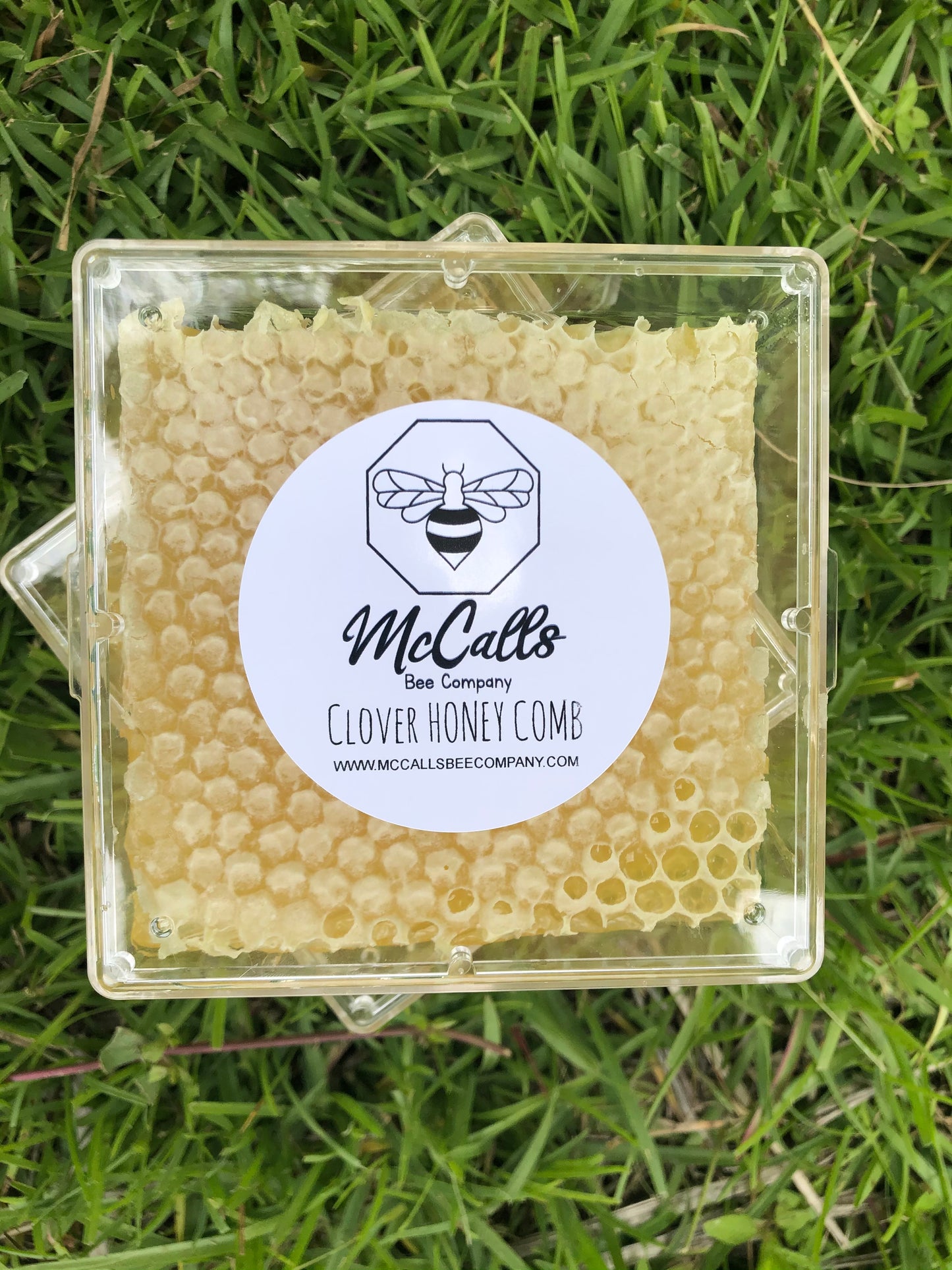 Clover Honey Comb